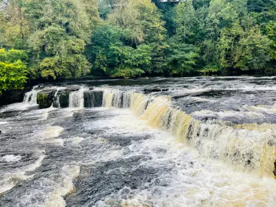 Wide view of Aysgarth Falls in the Yorkshire Dales, with rushing water spilling over stepped limestone ledges beneath dense green woodland.