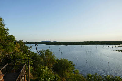 View across Pioneer Dam near Mopani Rest Camp in Kruger National Park, with still water, flooded trees and woodland stretching to the horizon.