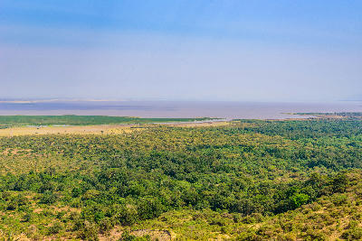 Panoramic view of the Groundwater Forest, floodplain and Lake Manyara in Lake Manyara National Park, Tanzania.
