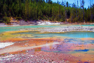Norris Geyser Basin Yellowstone colourful geothermal pools mineral runoff hot springs Wyoming USA