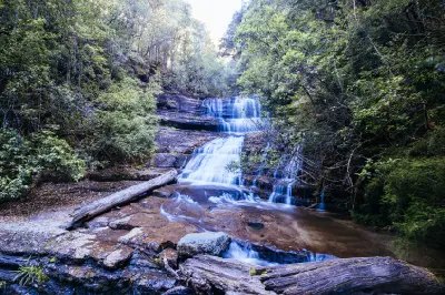 Lady Barron Falls flowing over moss-covered rocks surrounded by dense green rainforest in Mount Field National Park, Tasmania.