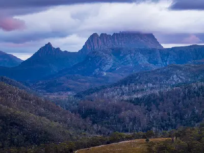 Cradle Mountain partially covered by low cloud above rugged alpine forest in Tasmania, Australia.