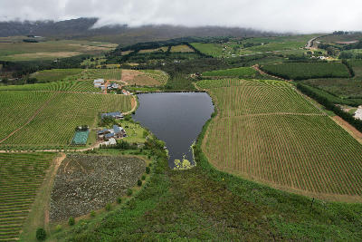 Drone view of vineyards and wine estate landscapes in the Hemel-en-Aarde Valley near Hermanus in the Western Cape, South Africa.