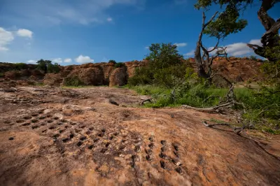 Traditional Moruba game board carved into sandstone in the Limpopo Valley near Botswana.