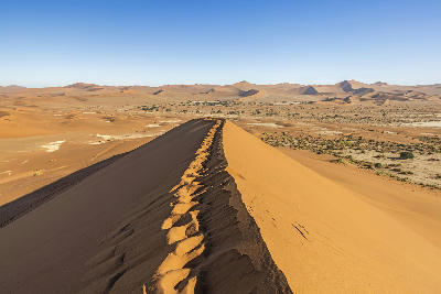 View along the crest of Big Daddy Dune overlooking the Sossusvlei sand dunes and Namib Desert landscape in Namibia.