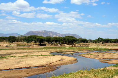 Great Ruaha River flowing through sandy channels during the dry season in Ruaha National Park, Tanzania.