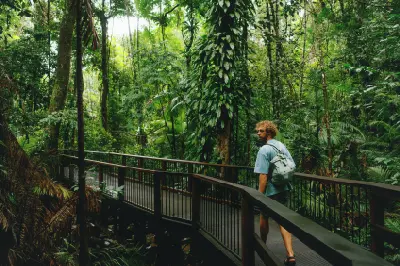 A young man with a backpack walks across an elevated wooden boardwalk bridge, looking back over his shoulder into a dense tropical rainforest filled with vibrant green palms and ferns.