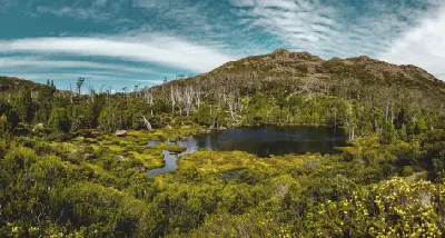 Pool of Bethesda amid alpine heath and pencil pines in Walls of Jerusalem National Park, Tasmania.
