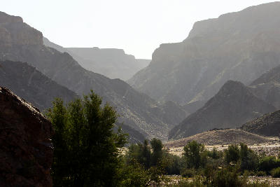 Layered canyon mountains and desert vegetation inside Fish River Canyon at dusk in southern Namibia.