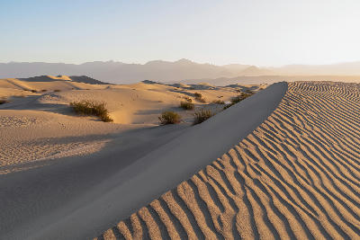 Rippled sand dune ridge at sunrise in Mesquite Flat Sand Dunes Death Valley with mountains in the background