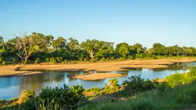 The Shingwedzi River flowing through sandy riverbanks and forest near Shingwedzi Rest Camp in Kruger National Park.