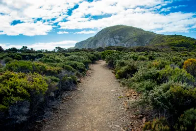 Walking track through coastal heathland approaching the cliffs of Cape Raoul, Tasmania.