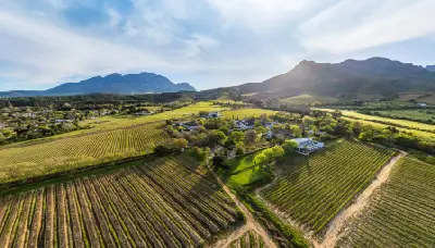 Aerial view of vineyards at Lanzerac with the Jonkershoek Mountains rising behind the estate near Stellenbosch in South Africa’s Cape Winelands.