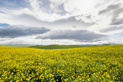 Overberg