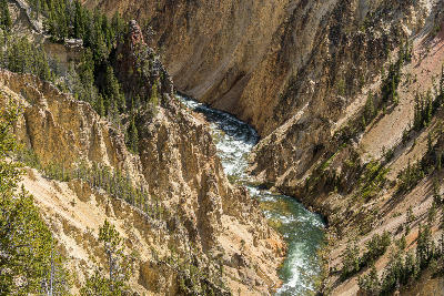 Close view of the Grand Canyon of the Yellowstone from Lookout Point showing the river cutting through steep canyon walls