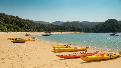 Sea kayaks resting on the golden sand of Anchorage Beach in Abel Tasman National Park, New Zealand.