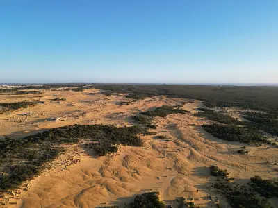 Aerial view of limestone pinnacles scattered across sweeping sand dunes and coastal vegetation near Cervantes.