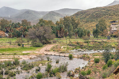 Low-water crossing over the Tra-Tra River in Wupperthal, with grazing sheep, palm trees, and rugged Cederberg mountains rising beyond the valley.