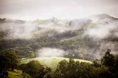 Morning sunlight and drifting mist over rolling green hills and forested valleys in the Atherton Tablelands, Queensland.