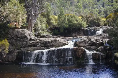Russell Falls cascading through lush fern-filled temperate rainforest in Mount Field National Park, Tasmania.