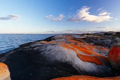 Orange lichen-covered granite formations at sunset at The Gardens, Bay of Fires, Tasmania.