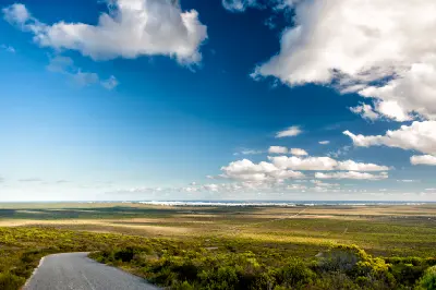 Road descending through fynbos-covered plains toward distant white coastal dunes in De Hoop Nature Reserve, South Africa.