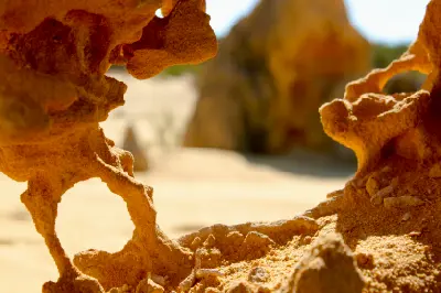 Close-up of eroded limestone formations glowing in warm light in the Pinnacles Desert.