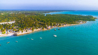 Drone view of Paje Village, mangrove forests, turquoise lagoon, and traditional boats along the Zanzibar coastline, Tanzania.