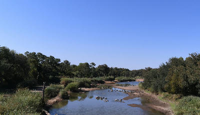 Channel of the Limpopo River with riverine woodland and sandbanks near Mapungubwe National Park.