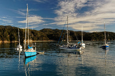 Sailboats anchored in calm water at sunrise in Anchorage Bay, Abel Tasman National Park, New Zealand.