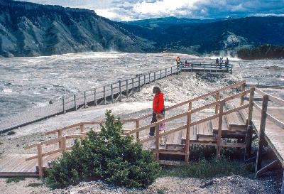 Mammoth Hot Springs boardwalk Yellowstone National Park terraces geothermal landscape Wyoming USA