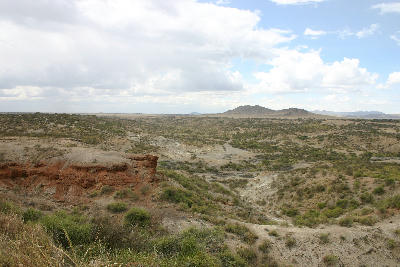 Wide landscape of Olduvai Gorge in northern Tanzania showing the steep-sided ravine and surrounding eastern Serengeti plains, home to internationally significant archaeological discoveries.