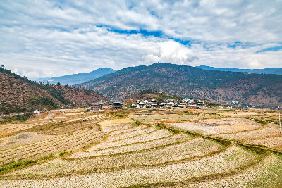 Chimi Lhakhang village and agricultural landscape, Punakha Valley, Bhutan