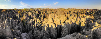 Panoramic view of the razor-sharp limestone pinnacles of the Great Tsingy in Tsingy de Bemaraha National Park, Madagascar