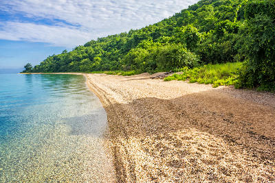 Sandy beach and crystal-clear waters of Lake Tanganyika bordered by rainforest in Gombe Stream National Park, Tanzania.