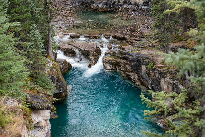 Athabasca Falls cascading into turquoise canyon pool surrounded by forest in Jasper National Park
