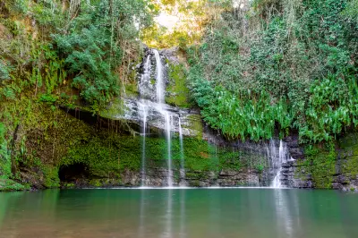 Tropical waterfall surrounded by dense rainforest vegetation on Nosy Be island in Madagascar with moss-covered rock walls and emerald pool