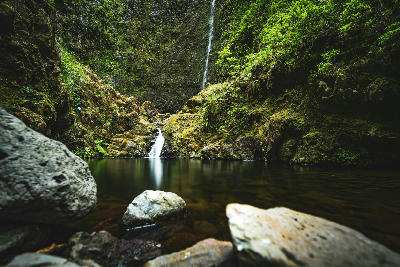 Small waterfall and calm pool at Caldeirão Verde on the Levada do Caldeirão Verde hiking trail, Madeira, Portugal.