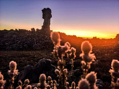 The Maltese Cross rock formation silhouetted against a colourful sunset sky in the Cederberg Mountains, with foreground vegetation illuminated by the last light of day.