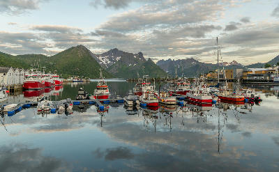 Harbour scene in Husøy showing fishing boats, calm reflective water, and steep mountains across Øyfjorden