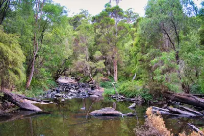 Lefroy Brook flowing through karri forest in Gloucester National Park near Pemberton, Western Australia.