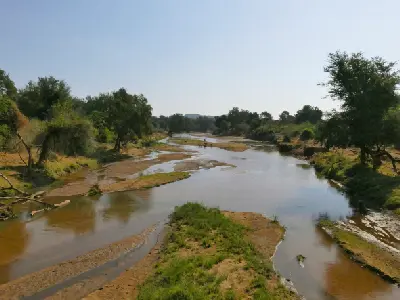 Luvuvhu River flowing through riverine forest near Crooks Corner in northern Kruger National Park.