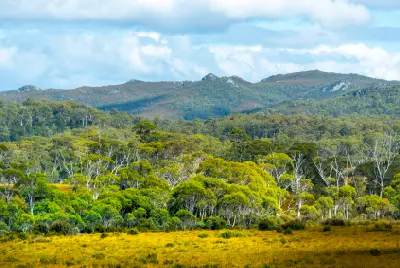 Eucalypt forest and open highland vegetation beneath rocky ridges in Tasmania’s Central Highlands.