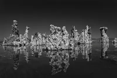 mono lake tufa formations birds eastern sierra nevada california