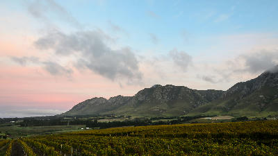 https://chatgpt.com/c/6a057656-30c4-83ea-a16f-8b305b2408fe#:~:text=Vineyards%20beneath%20mountain,Sources