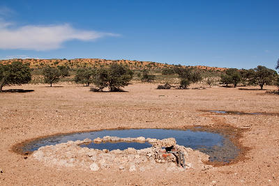 Artificial waterhole surrounded by desert plains and red Kalahari dunes in Kgalagadi Transfrontier Park.