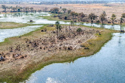 Aerial view of islands, winding channels and floodplains in the Okavango Delta, Botswana.