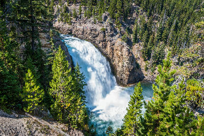 Upper Falls of the Yellowstone River viewed from above, framed by pine forest and canyon walls