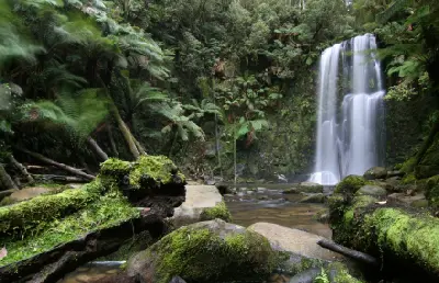 Beauchamp Falls framed by moss-covered rocks and dense fern-filled rainforest in the Otways, Victoria.