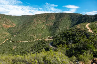 Winding gravel road descending through a green valley in the Baviaanskloof Wilderness Area surrounded by rugged mountains and dense vegetation, Eastern Cape, South Africa.